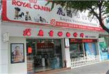 中山寵物醫院：狗狗洗牙的重要性與注意事項