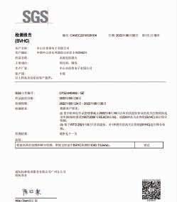 Cement Resistance REACH Report