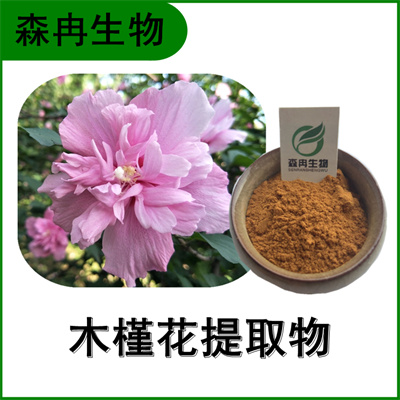 森冉生物 木槿花提取物 木紅花提取物 比例提取原料粉