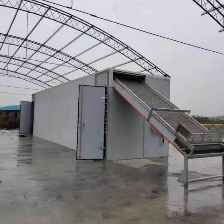 全自動溫控帶式糧食烘干機適合糧庫農場使用